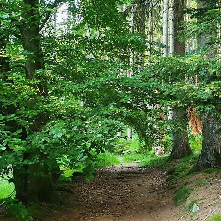 Odenwald-Lodge Mit Infrarotsauna Und E-Ladestation Im Naturpark Odenwald "Haus Himmelblau" Reichelsheim Екстер'єр фото