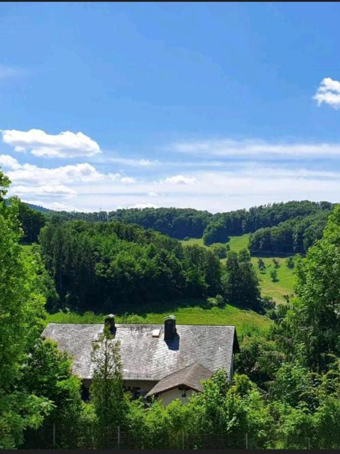 Odenwald-Lodge Mit Infrarotsauna Und E-Ladestation Im Naturpark Odenwald "Haus Himmelblau" Reichelsheim Екстер'єр фото