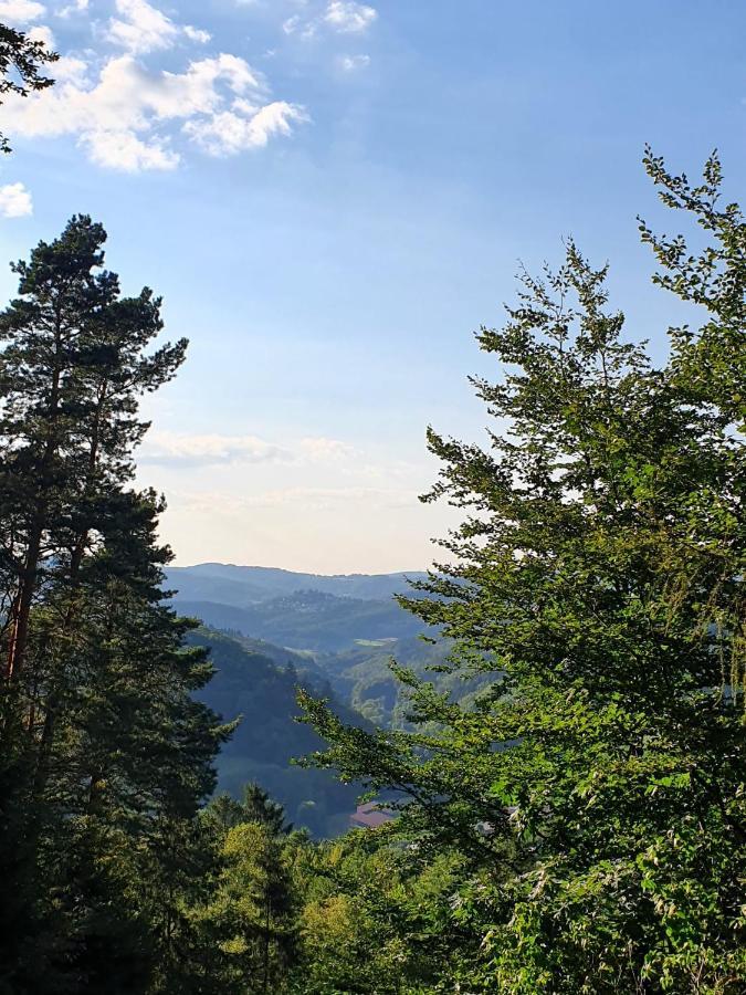 Odenwald-Lodge Mit Infrarotsauna Und E-Ladestation Im Naturpark Odenwald "Haus Himmelblau" Reichelsheim Екстер'єр фото