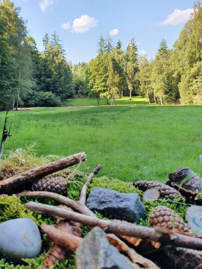 Odenwald-Lodge Mit Infrarotsauna Und E-Ladestation Im Naturpark Odenwald "Haus Himmelblau" Reichelsheim Екстер'єр фото