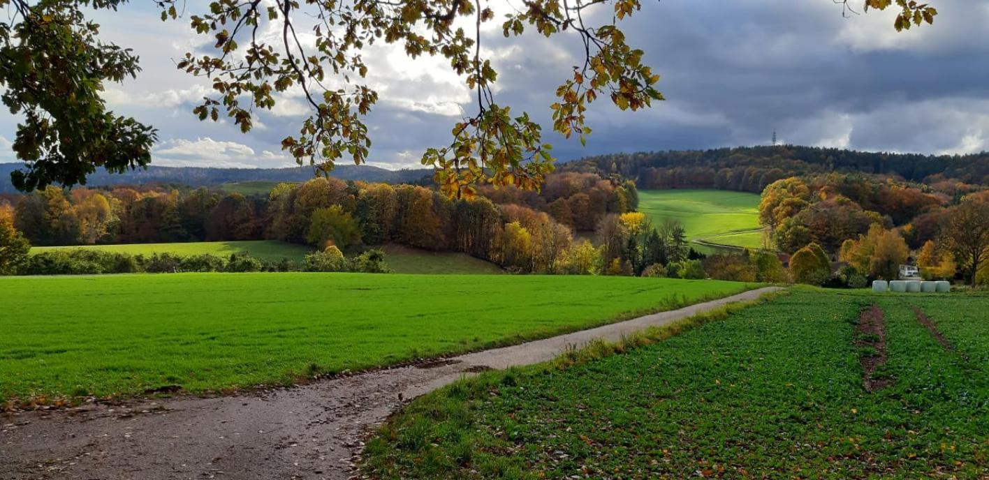 Odenwald-Lodge Mit Infrarotsauna Und E-Ladestation Im Naturpark Odenwald "Haus Himmelblau" Reichelsheim Екстер'єр фото